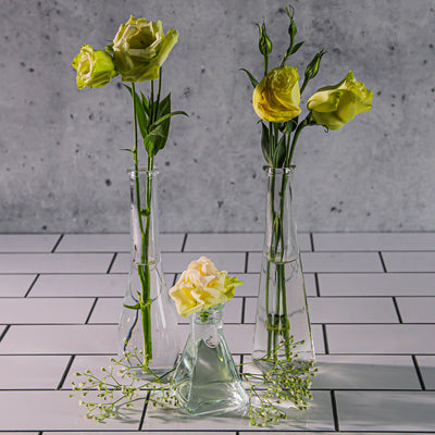 Richland Tempe Bud Vase Set of 12 - thumbnail number 5