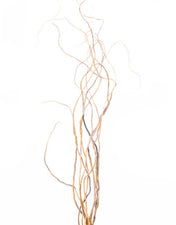 Curly Willow Tree Branch Bundle, 3-4 Feet - thumbnail number 4