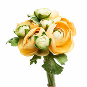Richland Orange Ranunculus Bouquet 15" - thumbnail number 2