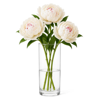 Eastland Cylinder Vase 3.25"x9" Set of 12 - thumbnail number 6