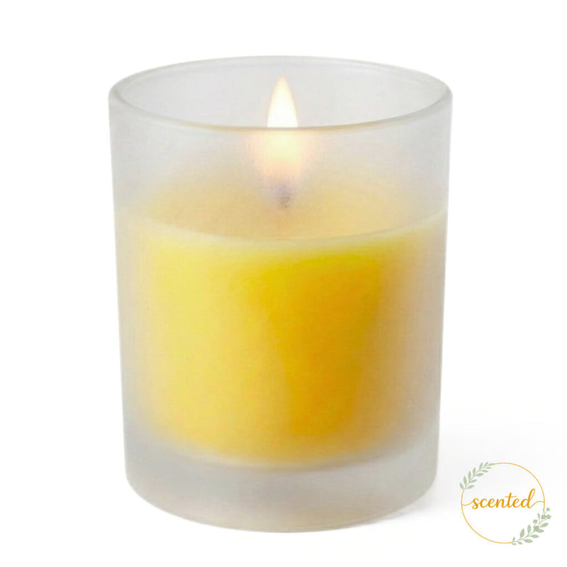 Richland Votive Candles & Eastland Frosted Votive Holders Set of 144 - thumbnail number 11