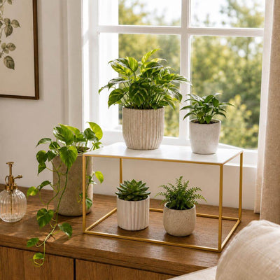 White rectangular acrylic display shelf with gold frame holding potted plants on a wooden table - thumbnail number 8