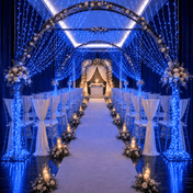 Blue LED curtain lights create a magical arched tunnel over a wedding aisle - thumbnail number 4