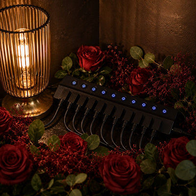 USB 3.0 10-Port Powered Charging Hub – 12V/2A with Independent Switches for LED Lamps, Event Lights & Wedding Installations - thumbnail number 3