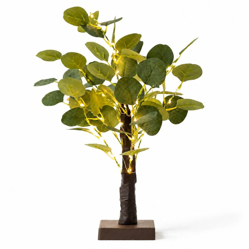 17 inch artificial eucalyptus tabletop tree with 50 warm white LED fairy lights on white backdrop - thumbnail number 2