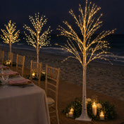 6ft lighted birch trees with warm white LEDs at an outdoor beach dinner - thumbnail number 7