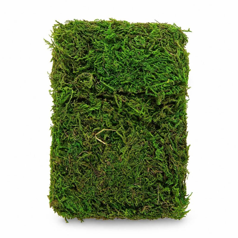 Compressed block of natural preserved green reindeer moss - thumbnail number 1