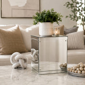 Silver mirrored acrylic display box styled with a potted plant and candle on a coffee table - thumbnail number 8