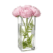 Clear 12" square vase filled with water, green foliage, and light pink peonies - thumbnail number 6
