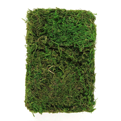 Rectangular preserved green moss mat for floral arrangements and decor on a white background - thumbnail number 1