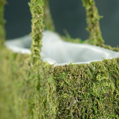 Natural Preserved Moss Purse Planter 8"