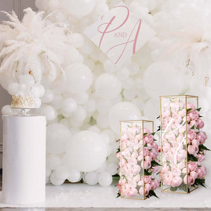 Clear Acrylic 40"x12" Plexiglass Sheets – 2-Pack Rectangular Side Plates with Protective Film