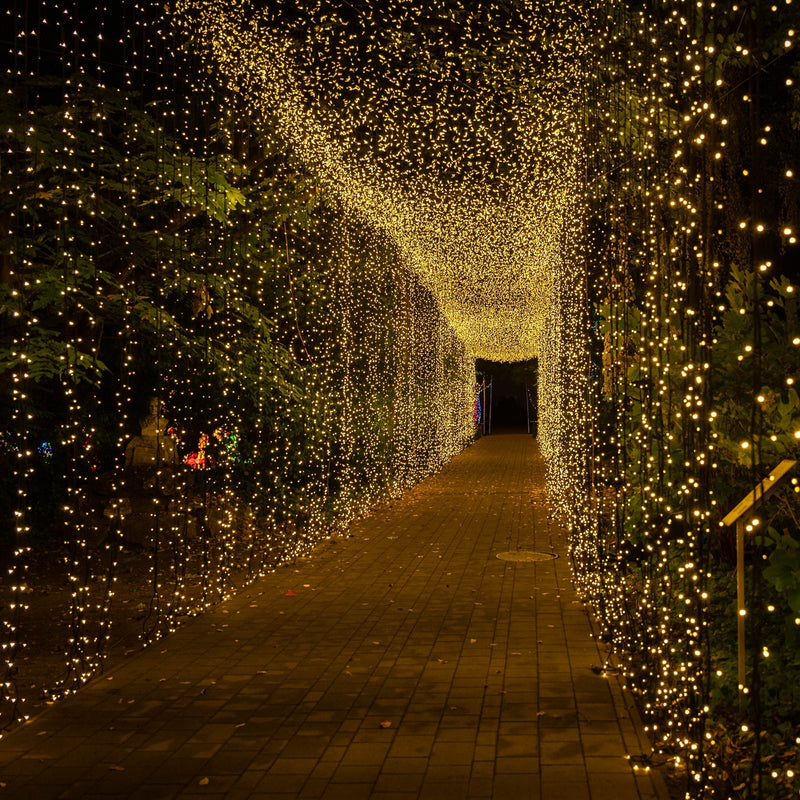 Magical pathway adorned with shimmering fairy lights at night. - thumbnail number 1