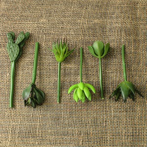 Succulent Picks 5-7in (Set of 6)