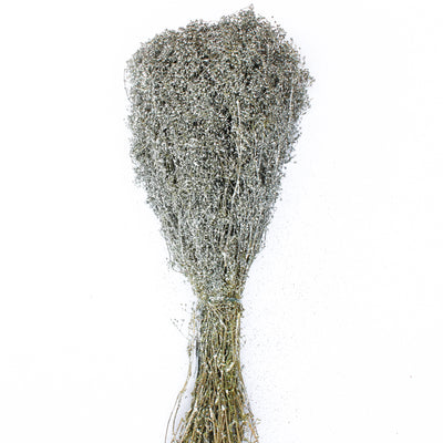Silver Sparkle Preserved Baby's Breath 4oz Bundle