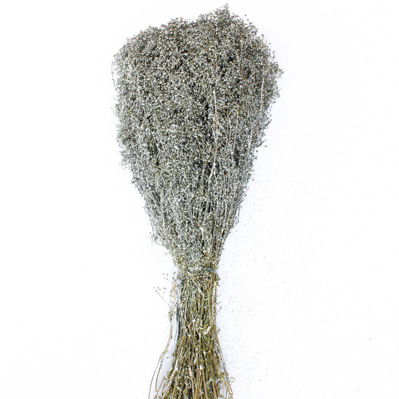 Silver Sparkle Preserved Baby's Breath 4oz Bundle - thumbnail number 1
