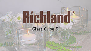 Richland Square Glass Cube Vase 5"