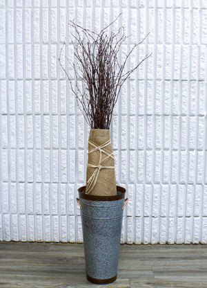 Natural Birch Tree Branches 3-4ft (25 branches)