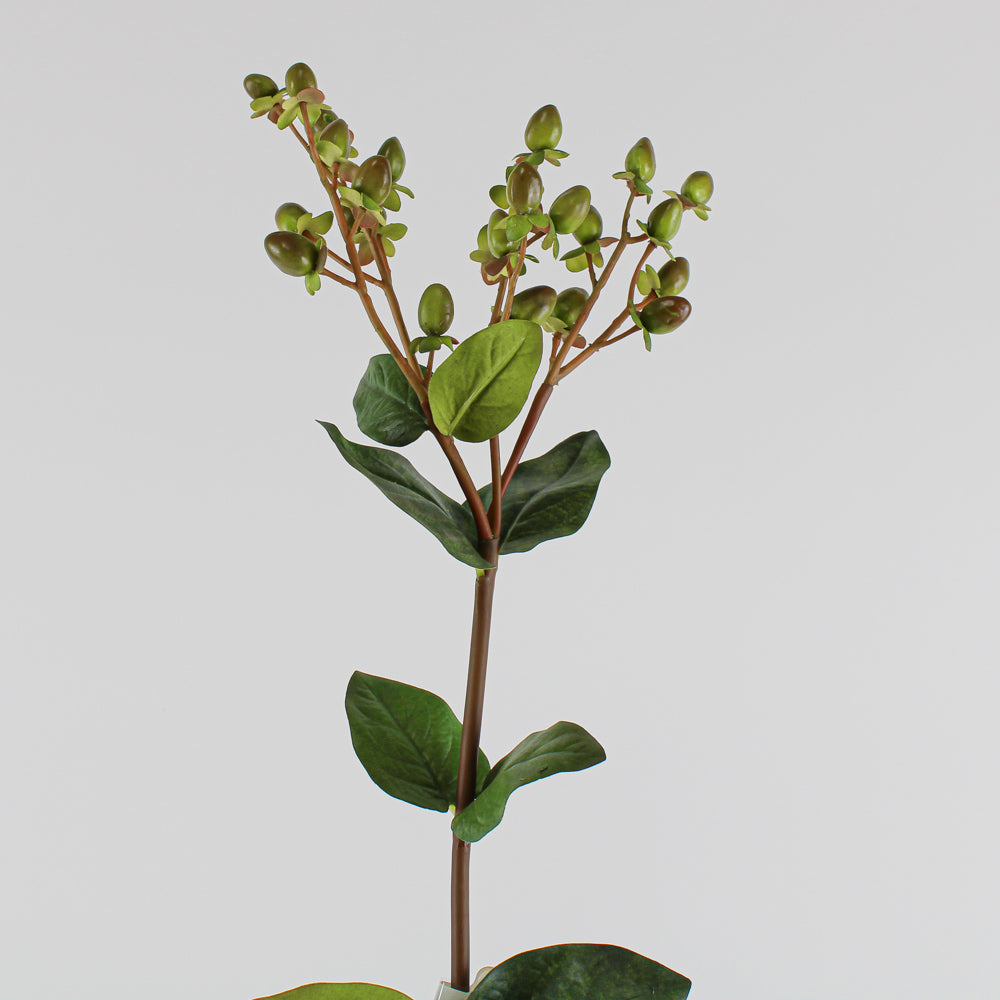 Green Hypericums Artificial 24in