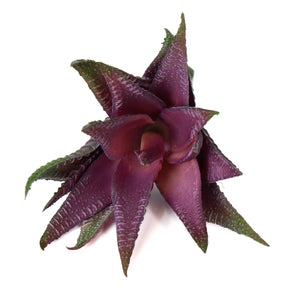 Natural Touch Purple Agave Pick 6x4