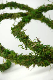moss vine preserved 12ft - thumbnail number 2