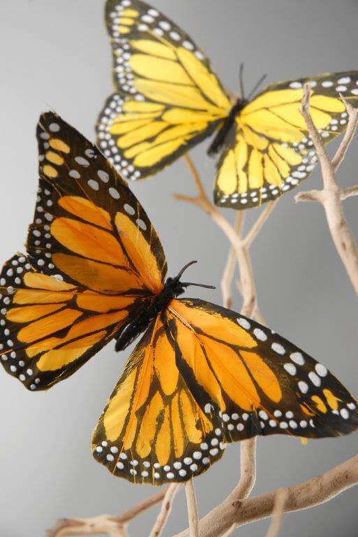 Decorative Monarch Butterflies&nbsp;|&nbsp;6 Pk