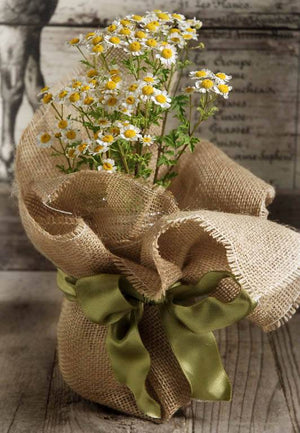 12 rustic burlap pot gift wrap 20 x 20