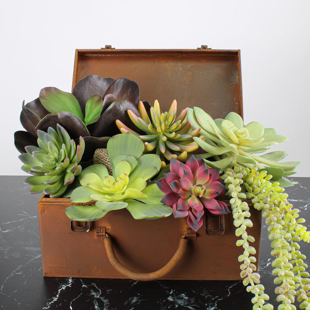 Kalanchoe Green and Burgundy Succulent 12in Natural Touch
