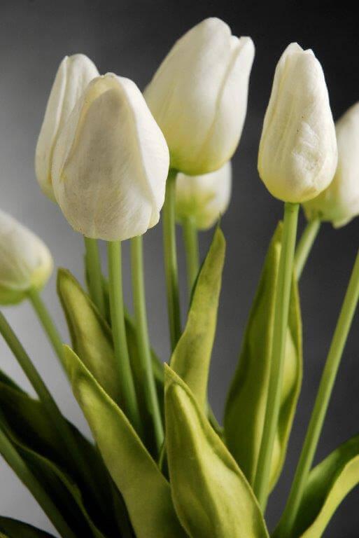natural touch mini white tulip bouquet 14in