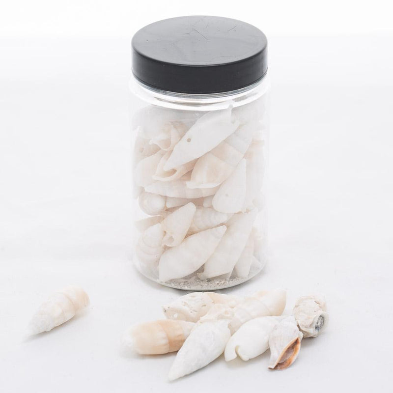 richland conch vase filler set of 12 - thumbnail number 1
