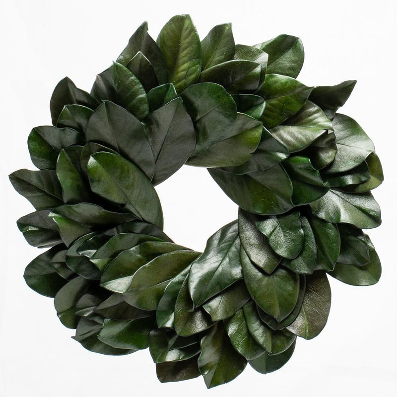Richland Preserved Magnolia Wreath 17" - thumbnail number 1