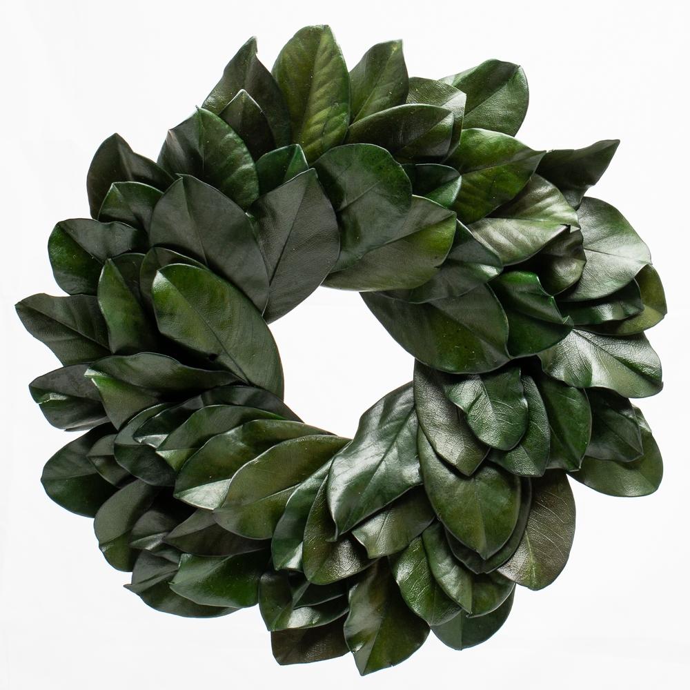 Richland Preserved Magnolia Wreath 17" Set of 6