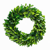 richland preserved boxwood wreath 8 set of 12 - thumbnail number 1