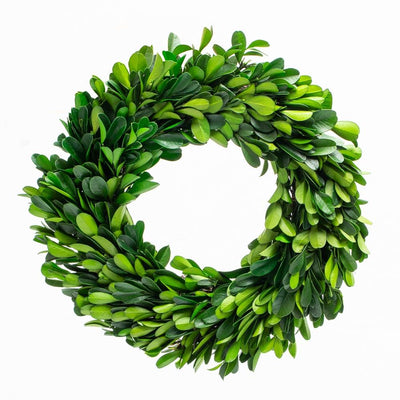 richland preserved boxwood wreath 8 set of 12 - thumbnail number 1