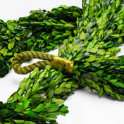 Richland Preserved Boxwood Garland 70" - thumbnail number 1