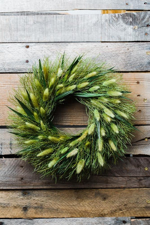 Richland Preserved Willow Wreath 14" Set of 6