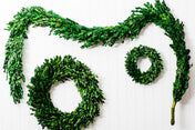 richland preserved boxwood garland 70 - thumbnail number 2