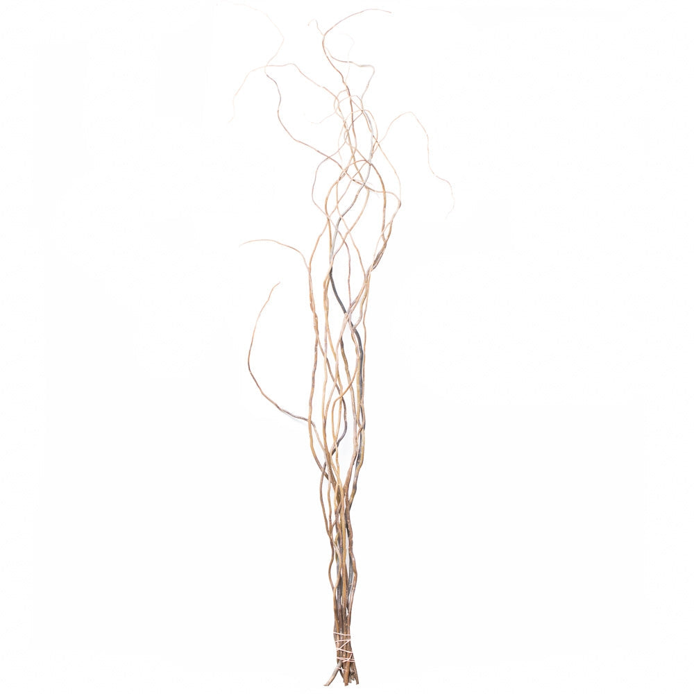 Curly Willow Tree Branch Bundle, 3-4 Feet