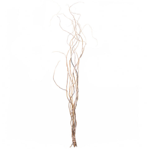 Fresh cut Curly Willow Branches 5 feet tall (4) branch set – Willows & More