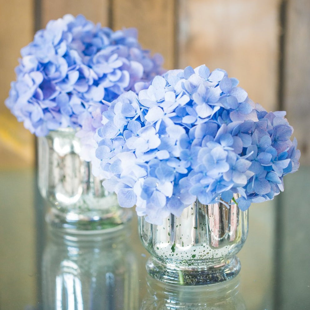 Richland Mercury Venus Jar Silver