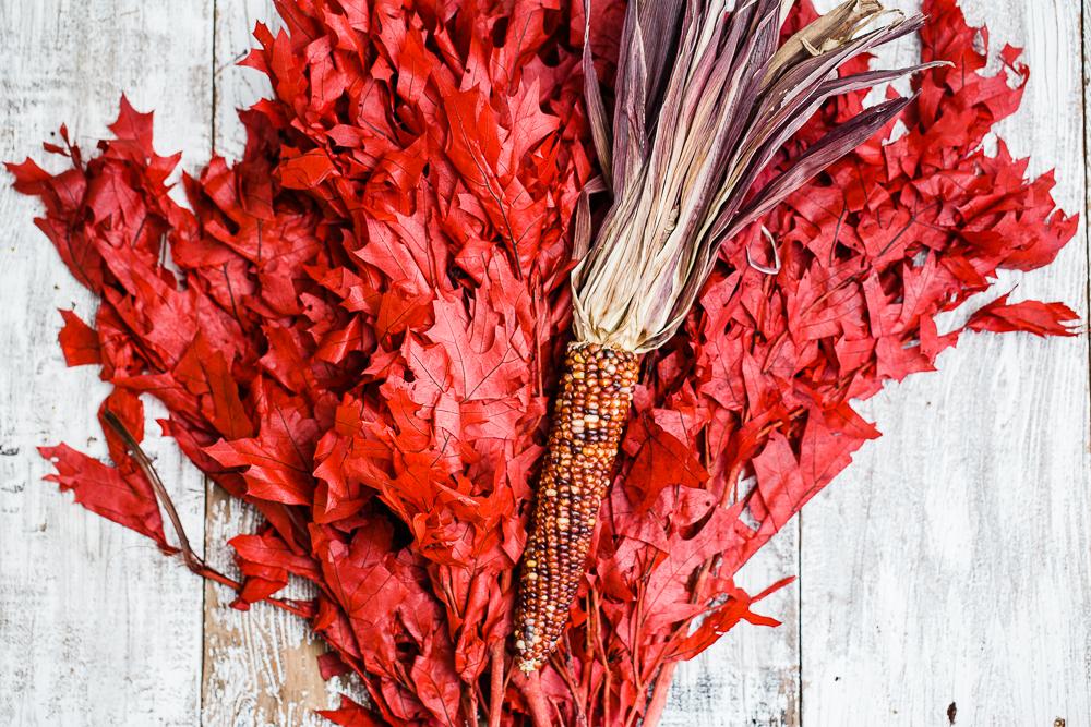 preserved red oak branches