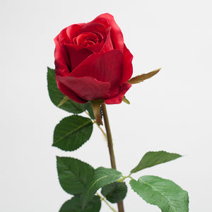 Richland Red Rose 22"