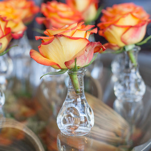 Eastland Pinched Bud Vase 3.5" Set of 12