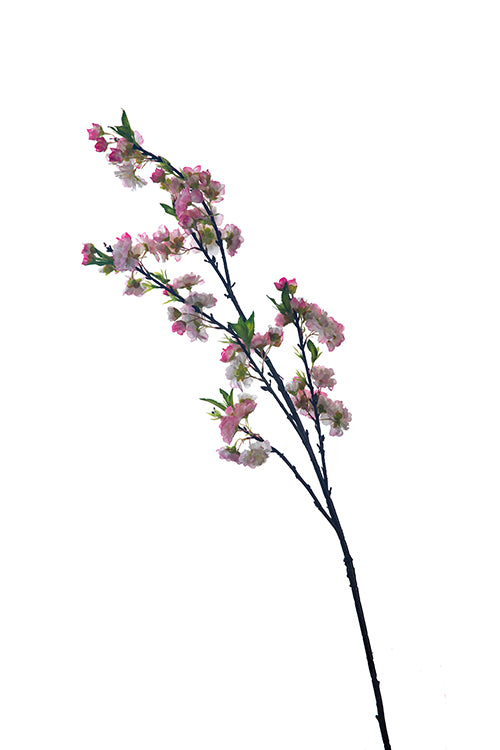 Pink Cherry Blossom Branches  45"