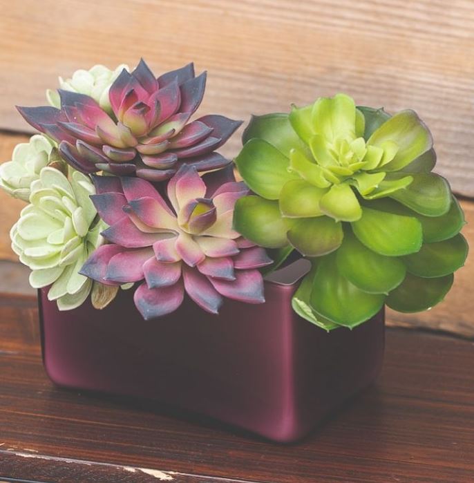 12 in. Green Burgundy Jade Leaf Artificial Succulent Stem Plant Greenery Pick Bush (Set of 2)