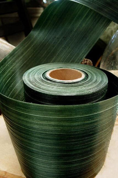 Variegated Aspidistra Leaf Floral Ribbon 4in x 50yds Dark Green