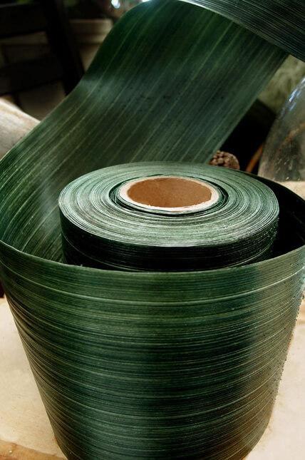 variegated aspidistra ti leaf floral ribbon 4in x 50 yards - thumbnail number 1