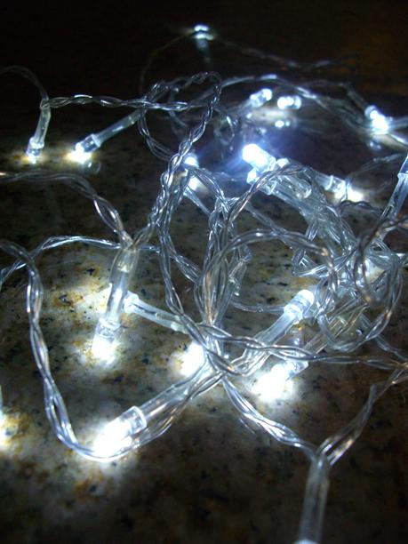Clear Wire Battery Operated LED Lights 10.5 Feet 24 Lights