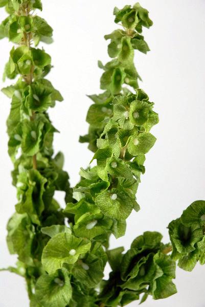 Silk Bells of Ireland 5 Stems 21in