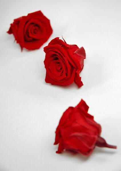 preserved roses red 1in 12 roses - thumbnail number 1